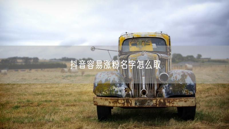 抖音容易涨粉名字怎么取