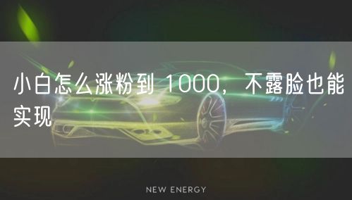 小白怎么涨粉到 1000，不露脸也能实现