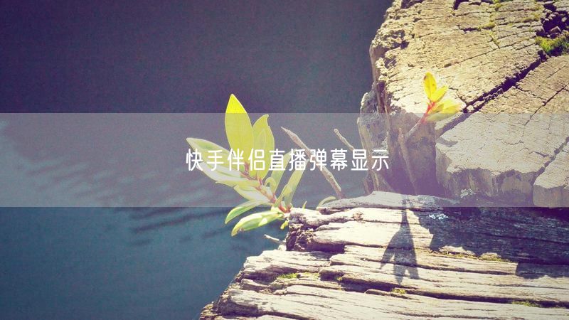 快手伴侣直播弹幕显示