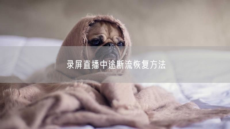 录屏直播中途断流恢复方法