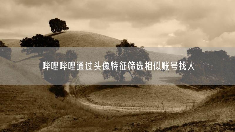 哔哩哔哩通过头像特征筛选相似账号找人