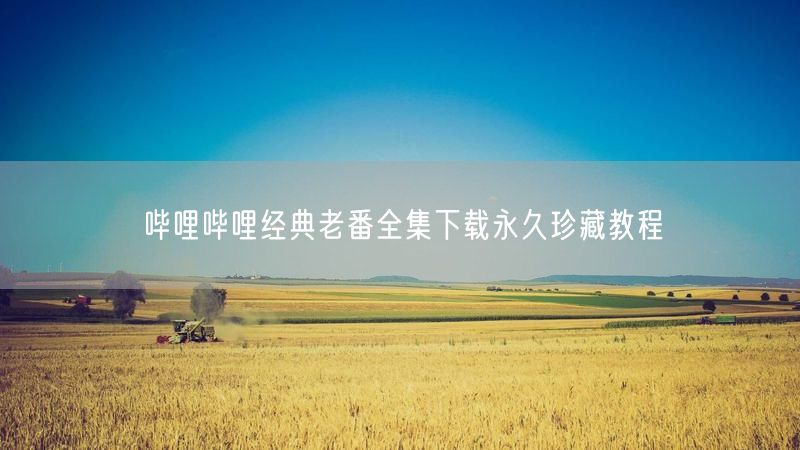 哔哩哔哩经典老番全集下载永久珍藏教程