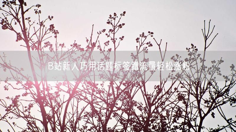 B站新人巧用话题标签蹭流量轻松涨粉