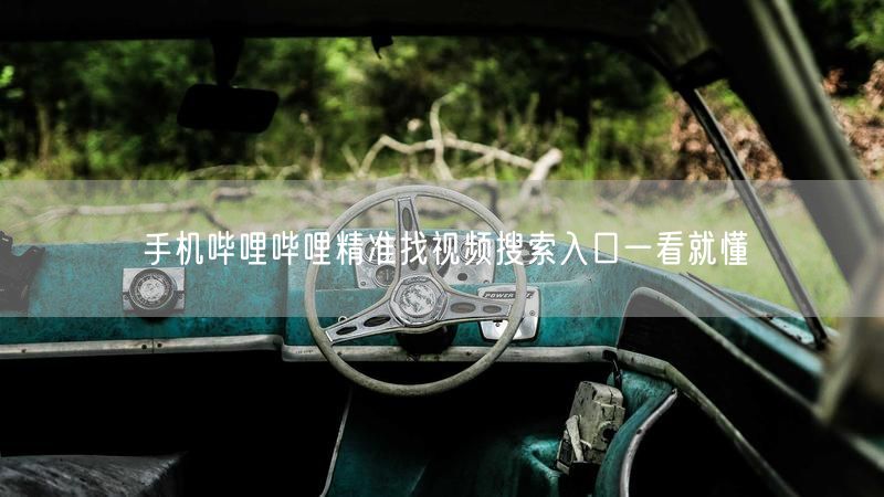 手机哔哩哔哩精准找视频搜索入口一看就懂