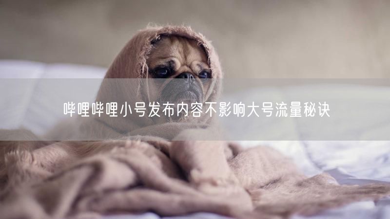 哔哩哔哩小号发布内容不影响大号流量秘诀