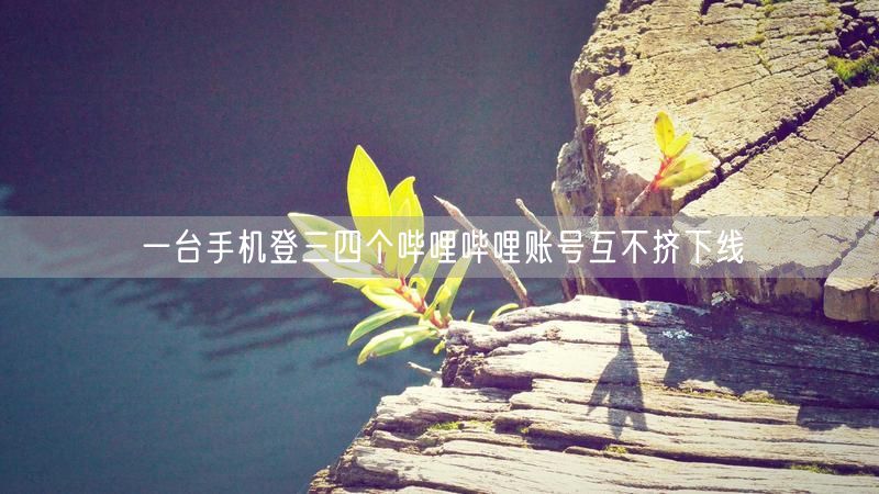 一台手机登三四个哔哩哔哩账号互不挤下线