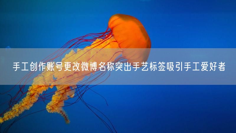 手工创作账号更改微博名称突出手艺标签吸引手工爱好者