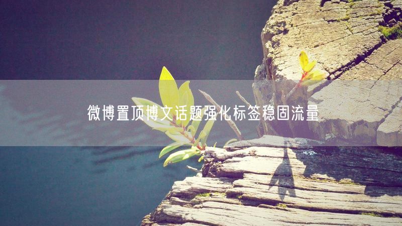 微博置顶博文话题强化标签稳固流量