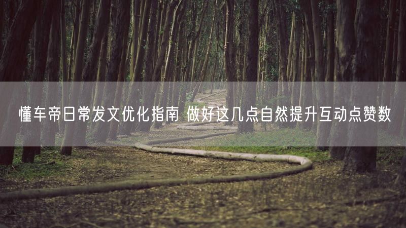 懂车帝日常发文优化指南 做好这几点自然提升互动点赞数