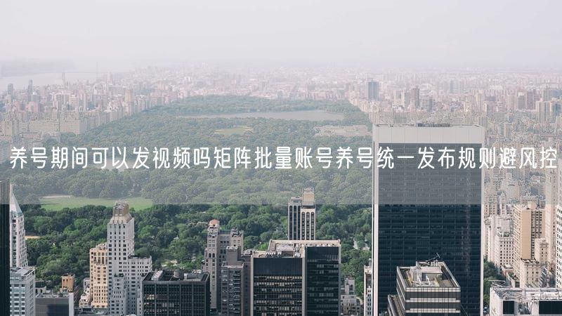 养号期间可以发视频吗矩阵批量账号养号统一发布规则避风控