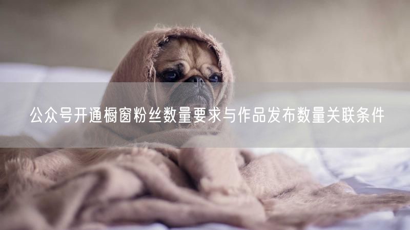公众号开通橱窗粉丝数量要求与作品发布数量关联条件