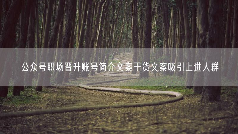 公众号职场晋升账号简介文案干货文案吸引上进人群