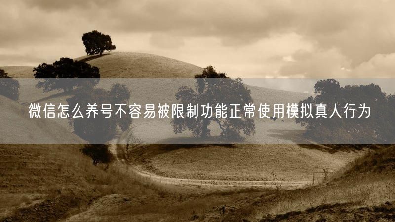 微信怎么养号不容易被限制功能正常使用模拟真人行为