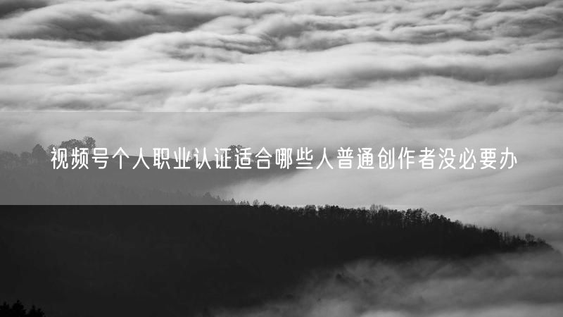 视频号个人职业认证适合哪些人普通创作者没必要办