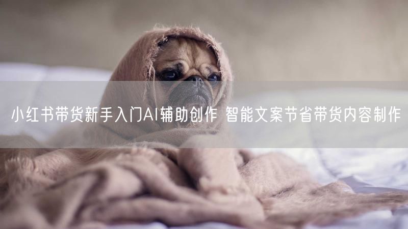 小红书带货新手入门AI辅助创作 智能文案节省带货内容制作