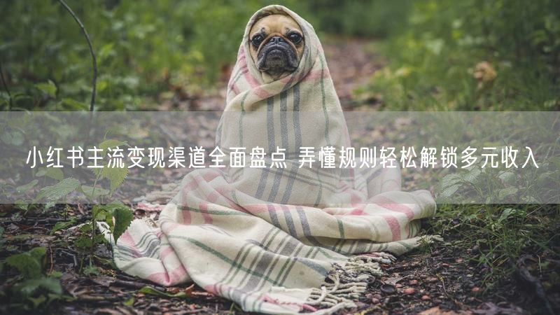 小红书主流变现渠道全面盘点 弄懂规则轻松解锁多元收入