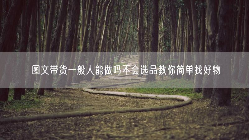 图文带货一般人能做吗不会选品教你简单找好物