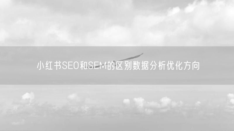小红书SEO和SEM的区别数据分析优化方向