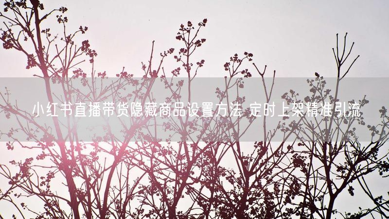 小红书直播带货隐藏商品设置方法 定时上架精准引流