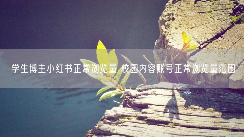 学生博主小红书正常浏览量 校园内容账号正常浏览量范围