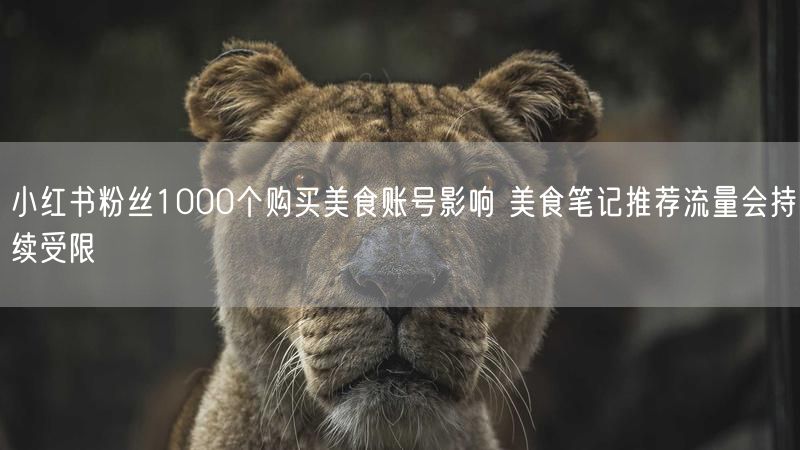 小红书粉丝1000个购买美食账号影响 美食笔记推荐流量会持续受限
