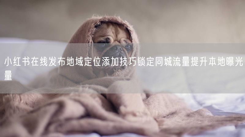 小红书在线发布地域定位添加技巧锁定同城流量提升本地曝光量