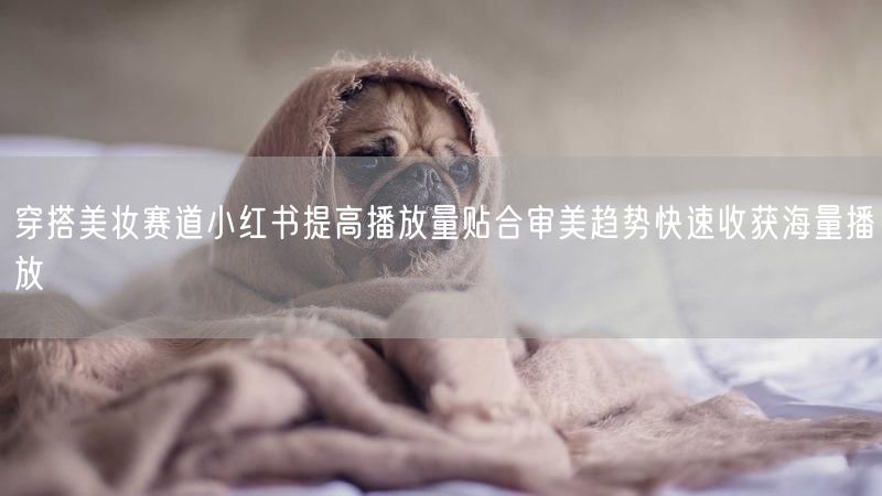 穿搭美妆赛道小红书提高播放量贴合审美趋势快速收获海量播放