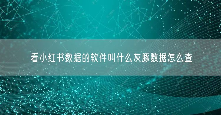 看小红书数据的软件叫什么灰豚数据怎么查