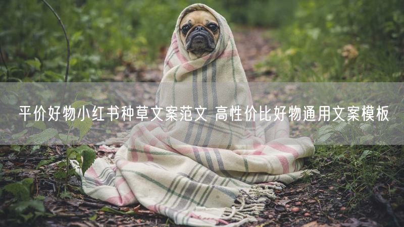 平价好物小红书种草文案范文 高性价比好物通用文案模板