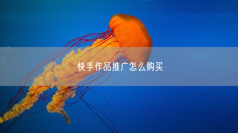 快手作品推广怎么购买
