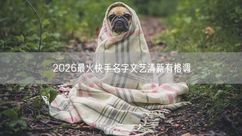2026最火快手名字文艺清新有格调