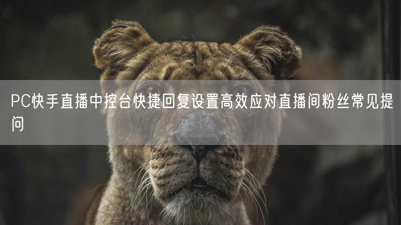 PC快手直播中控台快捷回复设置高效应对直播间粉丝常见提问