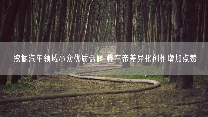 挖掘汽车领域小众优质话题 懂车帝差异化创作增加点赞
