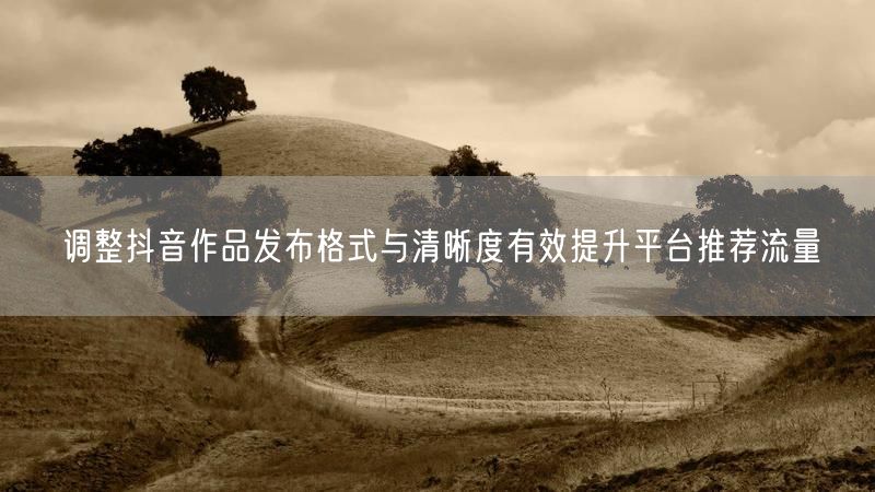 调整抖音作品发布格式与清晰度有效提升平台推荐流量