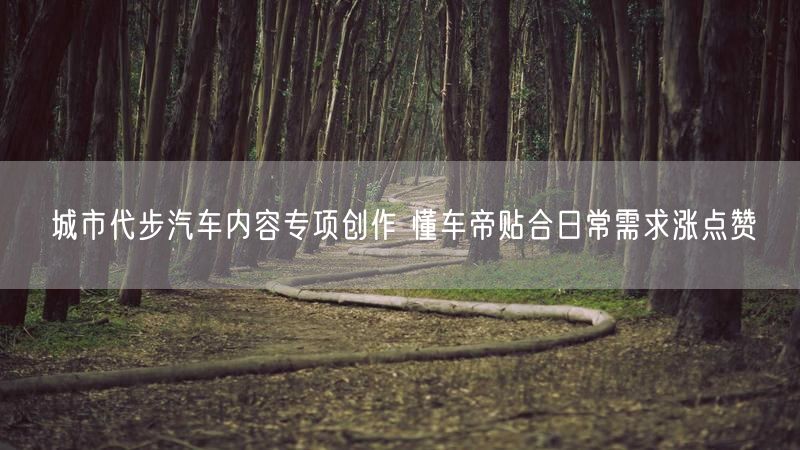 城市代步汽车内容专项创作 懂车帝贴合日常需求涨点赞