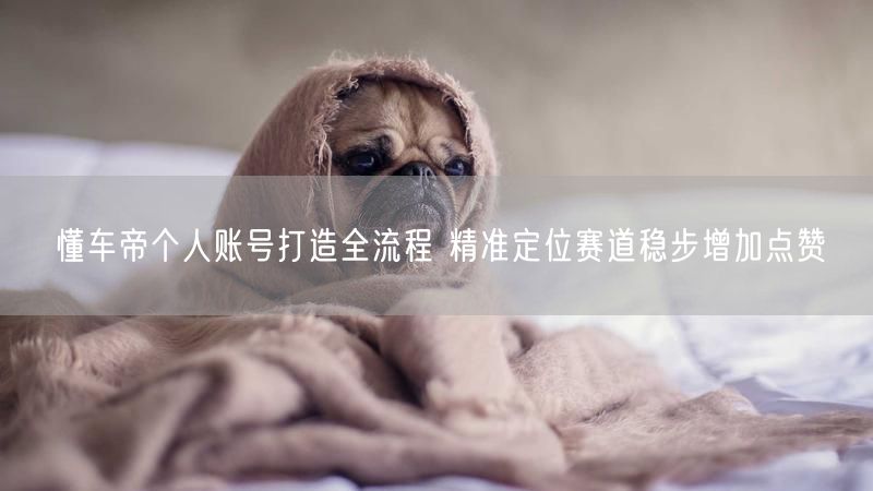 懂车帝个人账号打造全流程 精准定位赛道稳步增加点赞