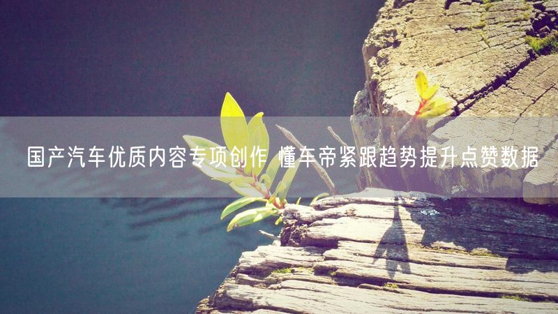 国产汽车优质内容专项创作 懂车帝紧跟趋势提升点赞数据
