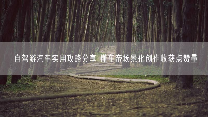 自驾游汽车实用攻略分享 懂车帝场景化创作收获点赞量
