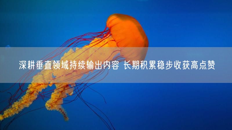 深耕垂直领域持续输出内容 长期积累稳步收获高点赞