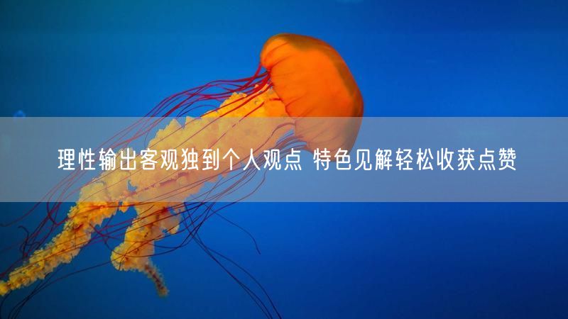 理性输出客观独到个人观点 特色见解轻松收获点赞