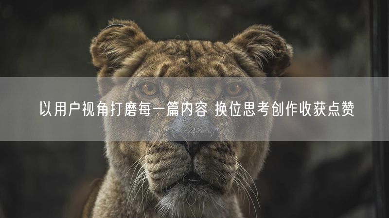 以用户视角打磨每一篇内容 换位思考创作收获点赞