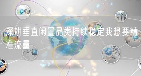 深耕垂直闲置品类持续稳定我想要精准流量