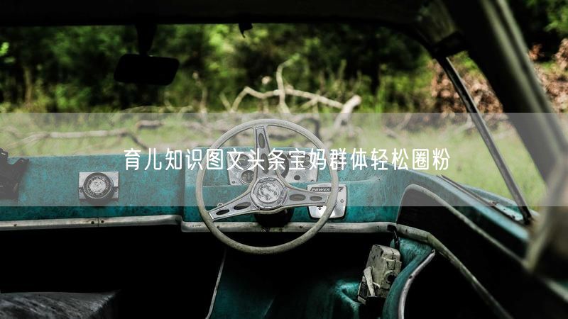 育儿知识图文头条宝妈群体轻松圈粉