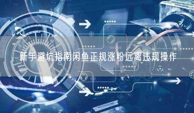 新手避坑指南闲鱼正规涨粉远离违规操作