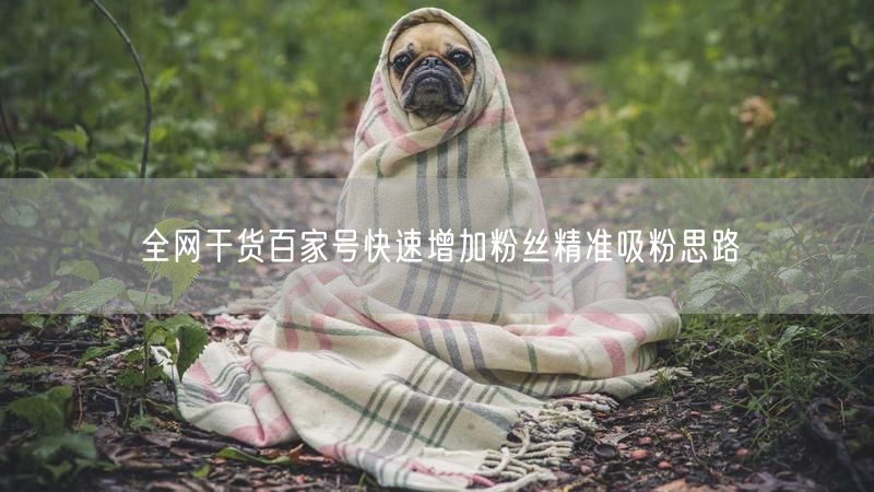 全网干货百家号快速增加粉丝精准吸粉思路