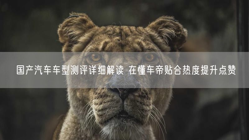 国产汽车车型测评详细解读 在懂车帝贴合热度提升点赞