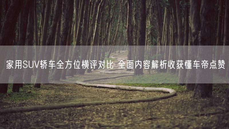 家用SUV轿车全方位横评对比 全面内容解析收获懂车帝点赞