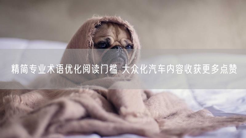 精简专业术语优化阅读门槛 大众化汽车内容收获更多点赞