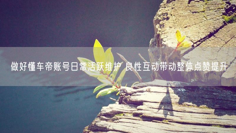 做好懂车帝账号日常活跃维护 良性互动带动整体点赞提升