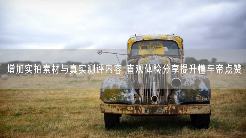 增加实拍素材与真实测评内容 直观体验分享提升懂车帝点赞